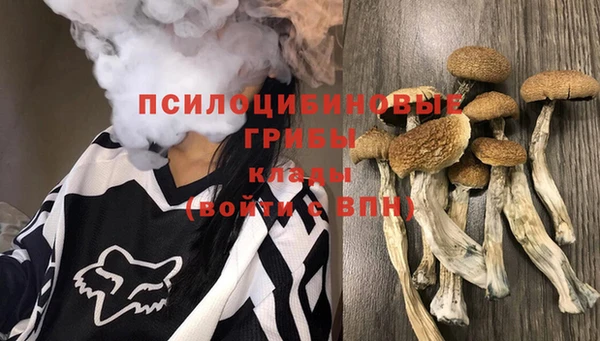 метадон Алзамай
