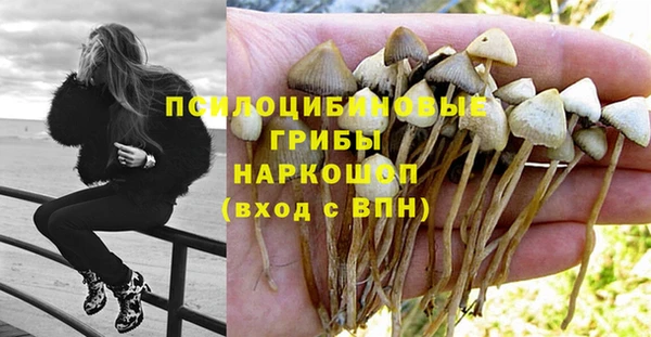 наркотики Абинск